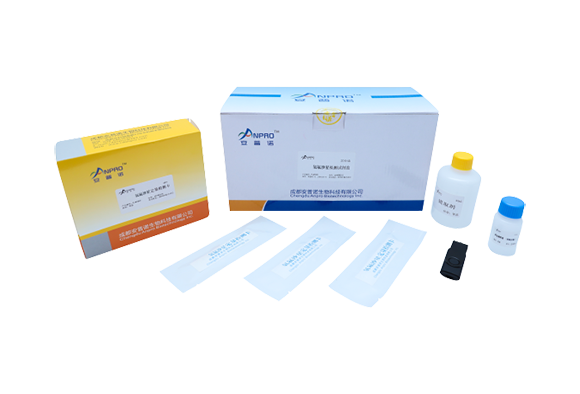 Rapid quantitative testing kits for Cry1Ab/AC protein